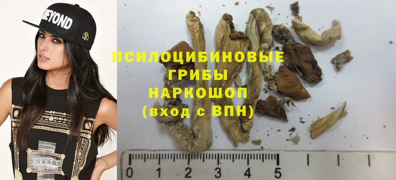 Псилоцибиновые грибы Psilocybe  shop клад  Чапаевск 